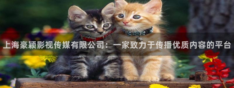 神马影院手机在线三级