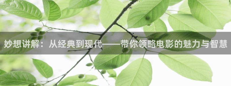 琪琪影院神马