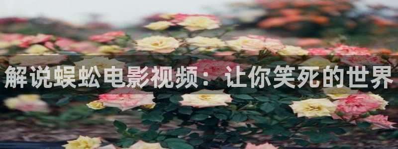 神马电影网第九