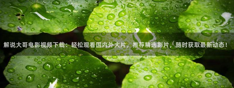 电影神马网
