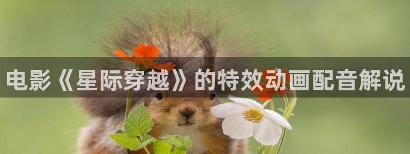 神马电影网免费完整版