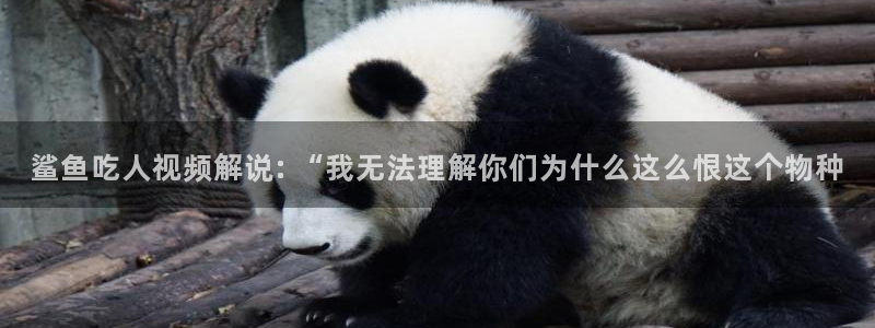 麻豆神马影院