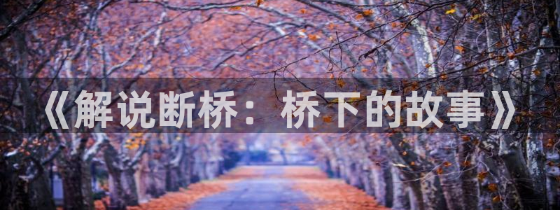 神马三级我不卡电影