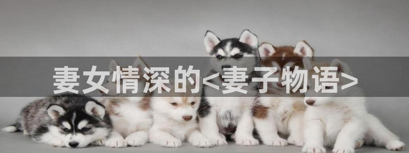 神马电影院午夜片在线观看
