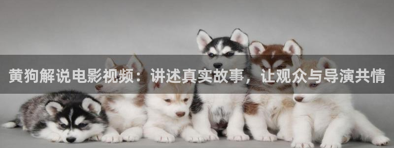 2019年神马免费电影
