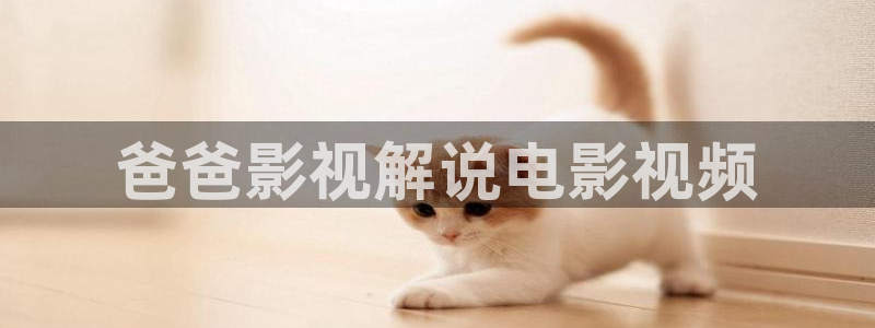 神马电影我不卡影院tv