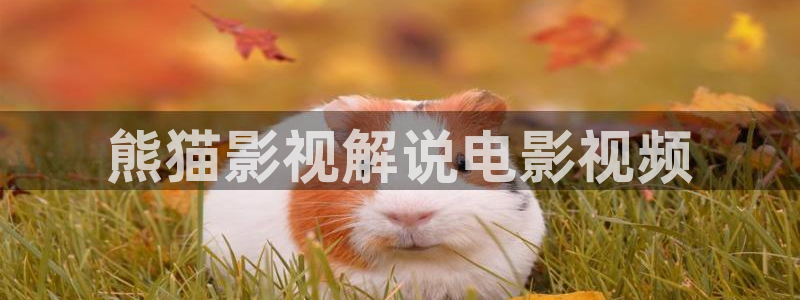 神马日韩伦理片