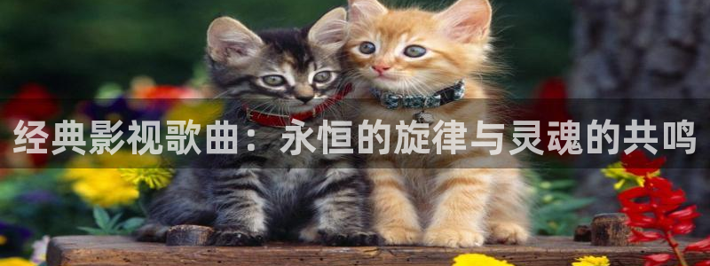免费神马电影