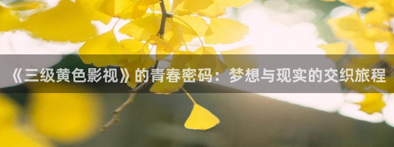 2012神马电影免费看