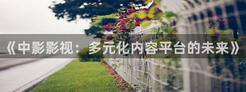 good神马影院伦理
