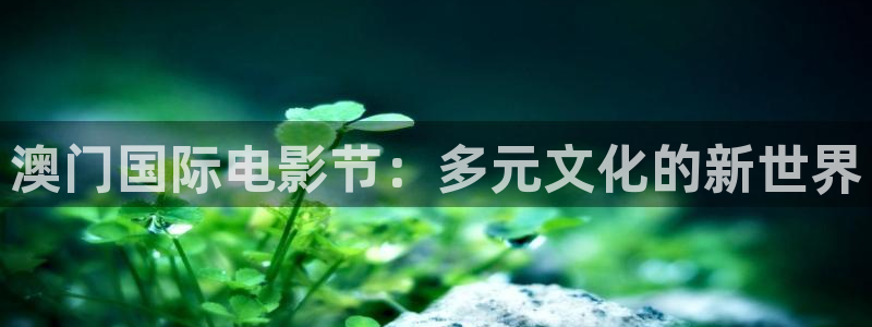 神马午夜影院么么哒