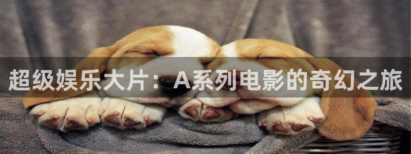 我不卡神马我不卡电影
