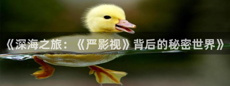 悟空神马电影