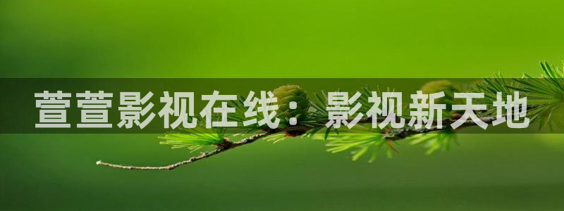 y8888午夜神马影院