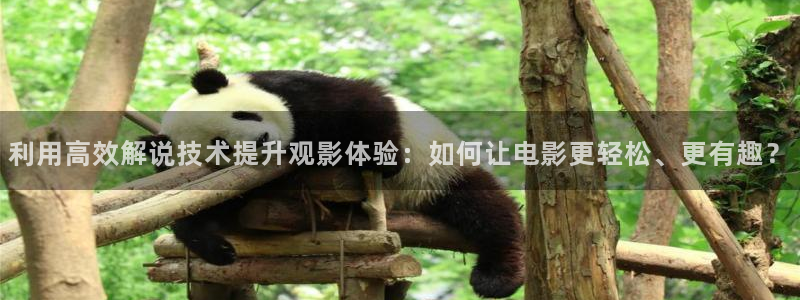 神马老子午夜电影