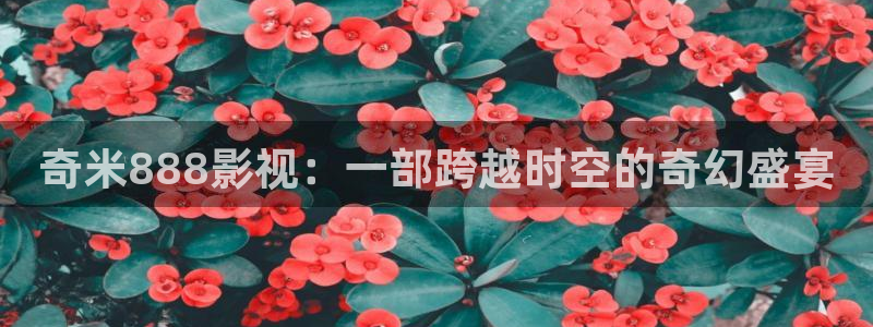 神马电影院小说