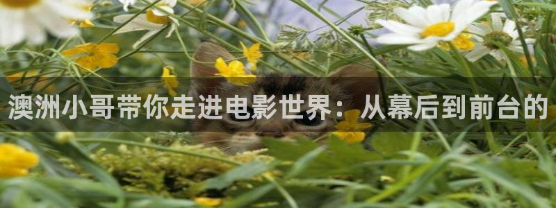 理伦片神马