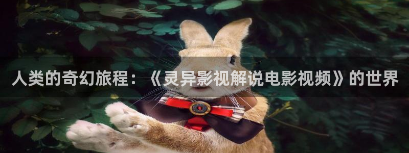 神马影院在线伦理