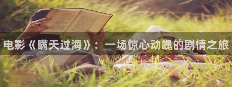 神马影院六度达达兔