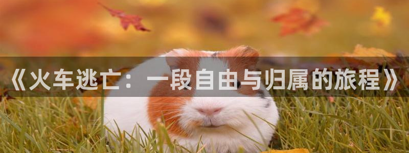 神马影院超神第九影院