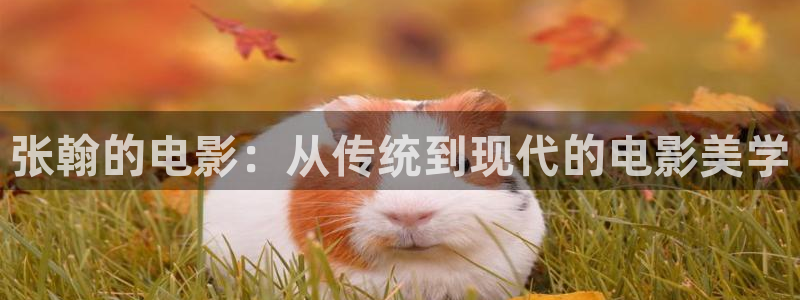 午夜神马电影在线观看