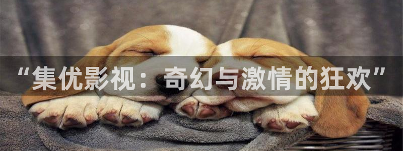 神马影院在线伦理视频