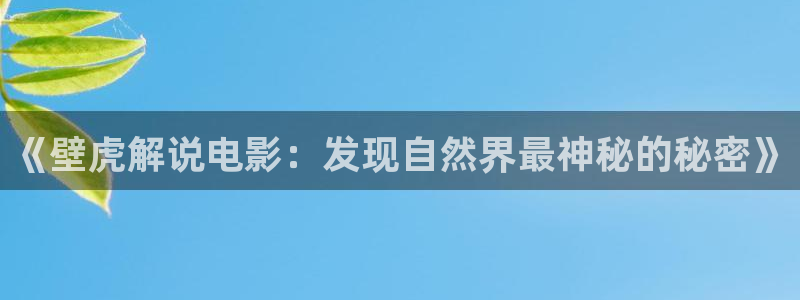 年轻的母亲在线观看神马影院