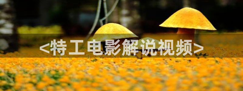 神马影视6080