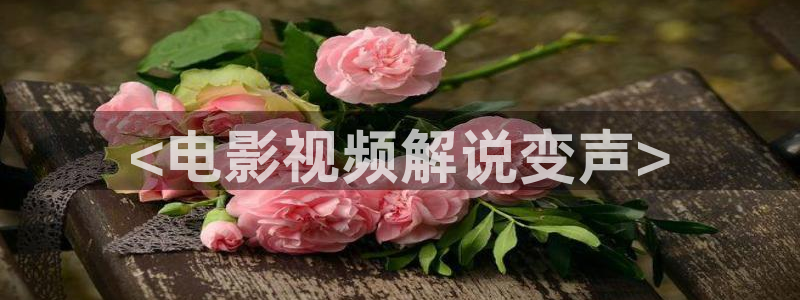 秋霞电影网神马电影网