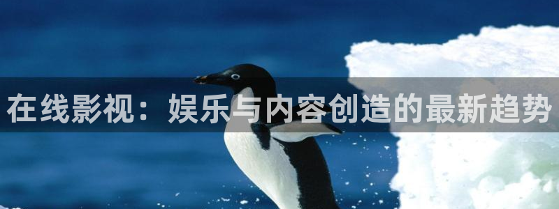 神马电影网伦理
