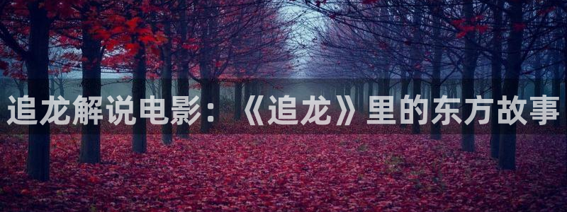 神马电影院官网