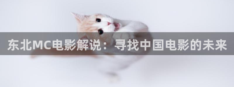 神马影院理论片韩国