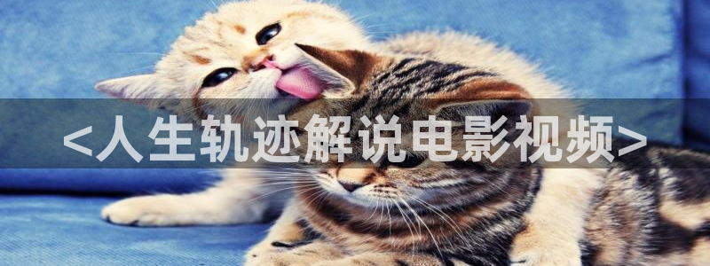 理伦片神马