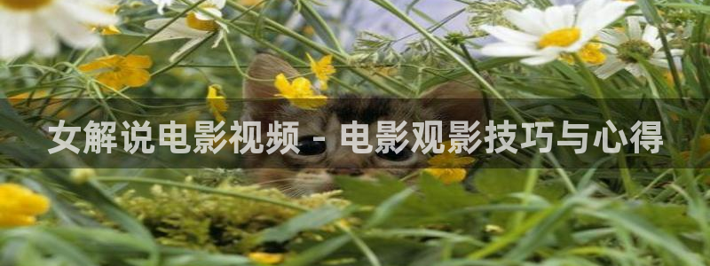 神马电影不卡4