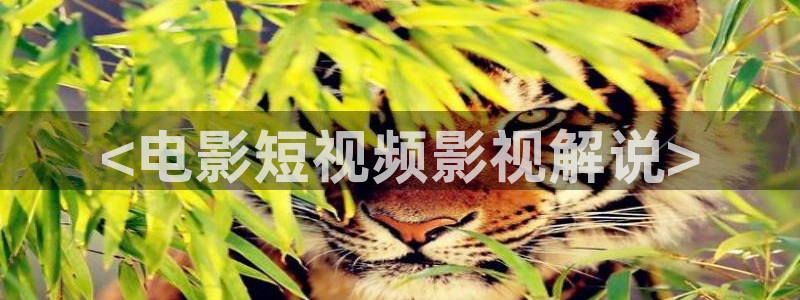 神马理论在线影院