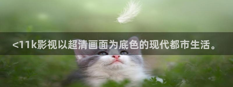 老司机神马电影网