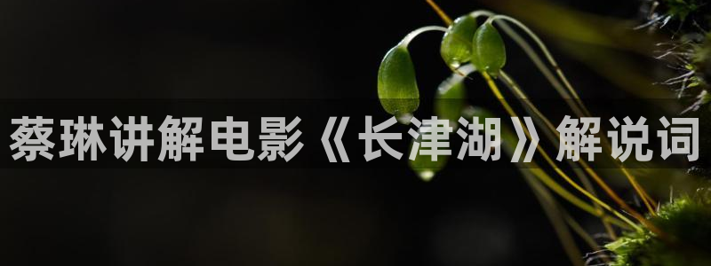 久久久神马影院