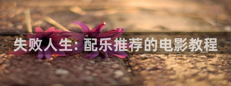 神马伦理在线免费
