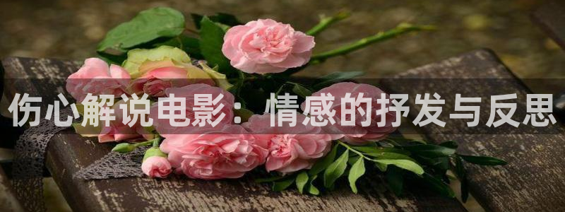 神马手机在线播放影院