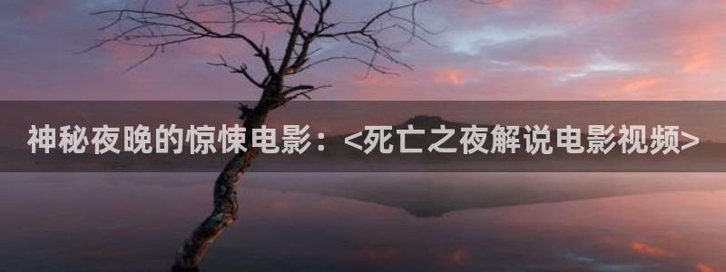 神马午夜影视