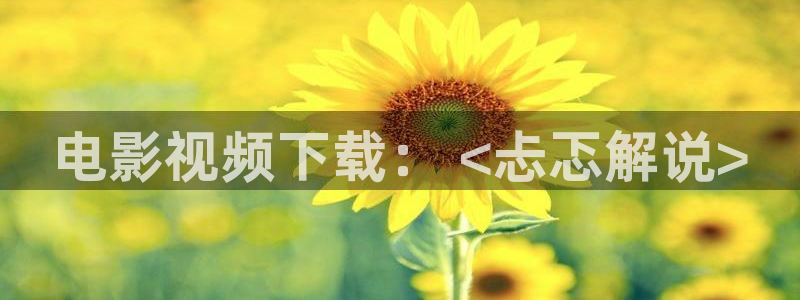 神马午夜影院8888