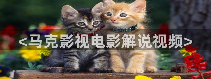 神马3级我不卡