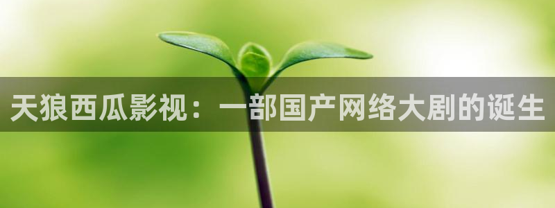 神马影院手机在线我不卡