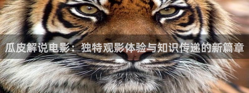 新神马影视
