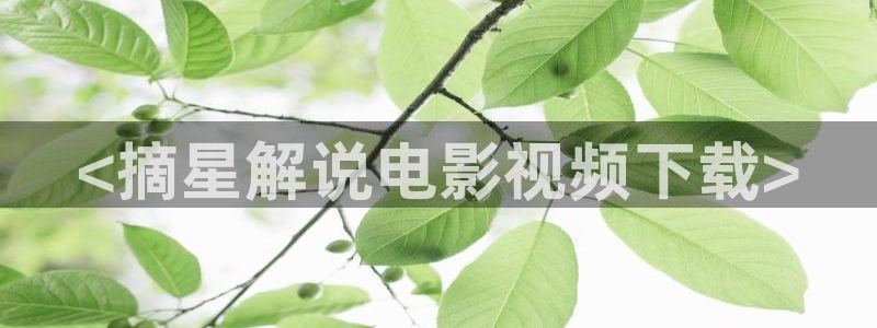 飘雪在线观看神马影院