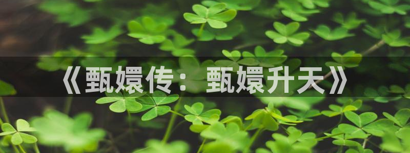 神马影院达达兔伦理片在线观看
