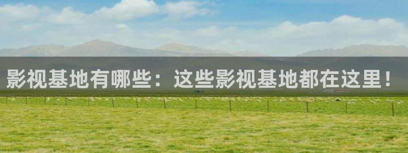 免费神马电影电影网