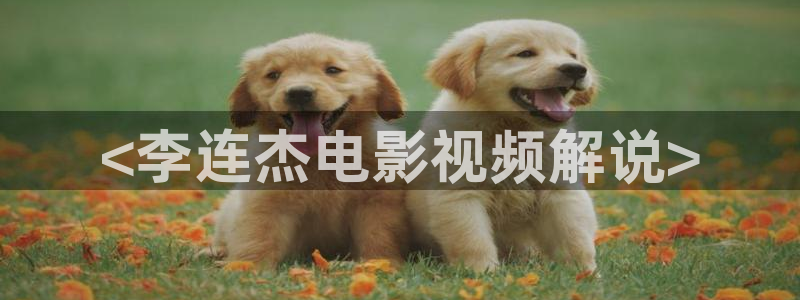 现在神马影院