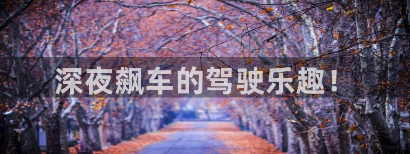 神马影院午夜理论不卡