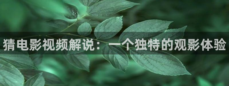 午夜黄色神马影院